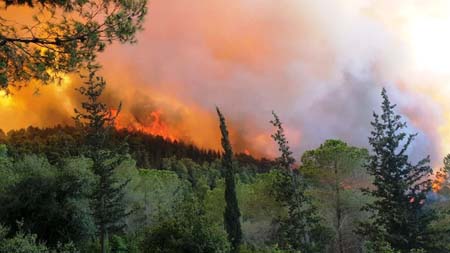 WhatsApp Image 2021-08-16 at 4.33.12 PM.jpeg.jpg